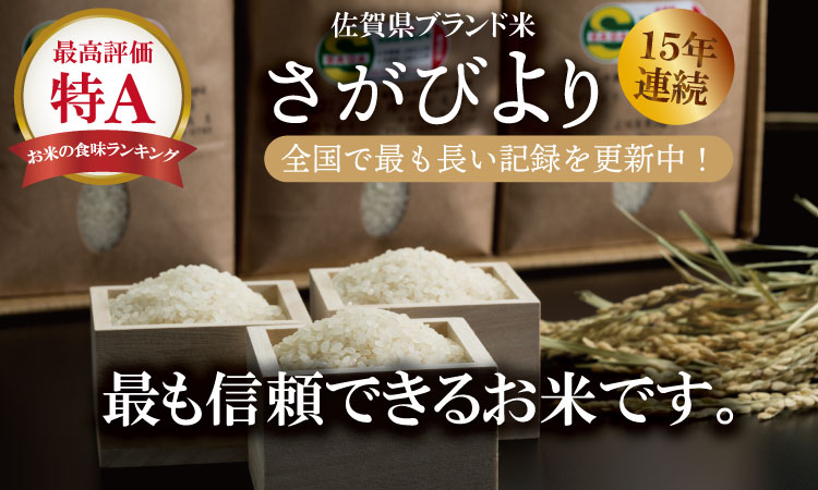 【新米】R７年度産（令和７年）特別栽培米 佐賀ブランド 米「 さがびより 」10kg（5kg×2袋）田中農場 精米 白米 10キロ 単位 もちもち 食感 冷めても 美味しい お一人様 ご家族用 ランキング 特A 評価