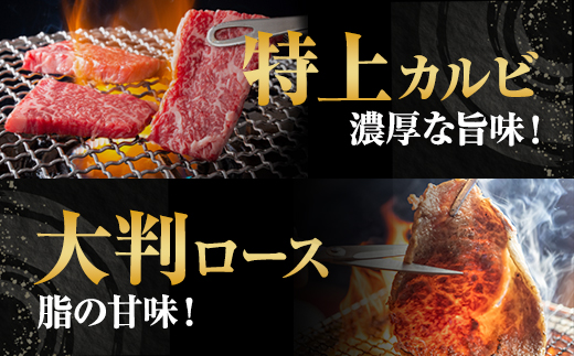 三角バラ肉入り！佐賀牛焼肉セット（カルビ・ロース×900g）つるや食品 佐賀牛 食べ比べ 特上カルビ500g ロース400g 焼き肉 国産 牛肉 バーベキューセット BBQ お肉 ブランド牛 九州産 送料無料　A5～A4 人気 ランキング 佐賀県産 黒毛和牛