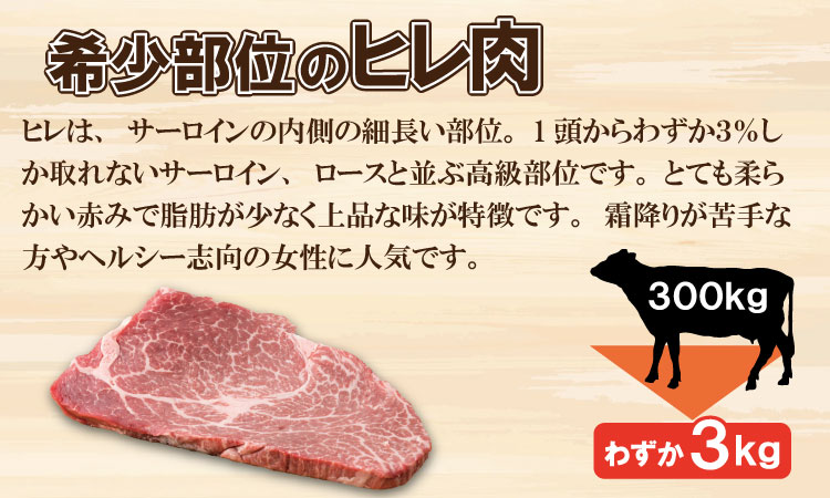 佐賀産和牛ヒレステーキ120g×5 潮風F 脂質の少ない ヒレ ステーキ