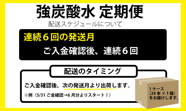 【定期便】連続6回 強炭酸水（500ml）1ケース（計24本） 水・ミネラルウォーター