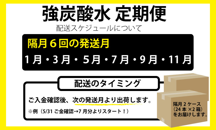 【定期便】（年/隔月）強炭酸水（500ml）2ケース（48本入り）×6回 水・ミネラルウォーター