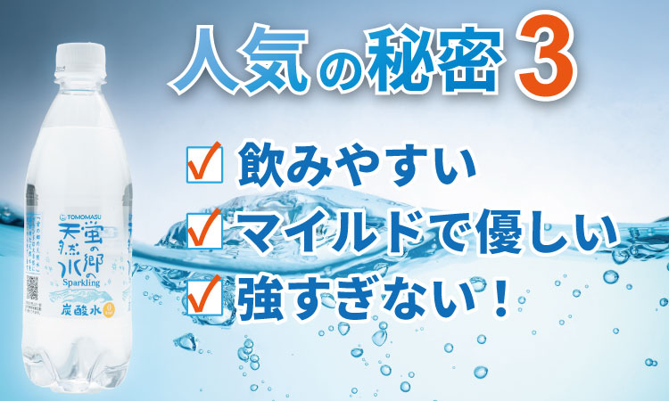 【定期便】 (年6回/隔月お届け) 蛍の郷の天然水（炭酸水500mlｘ24本) x 3ケース 偶数月