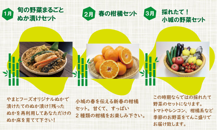 【定期便】 (12ヶ月連続お届け) ニューあいらぶおぎセット毎月お届け便