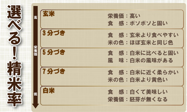 【定期便】 (12ヶ月連続お届け) 大坪精米所 佐賀ブランド米定期便（5kg×12回） 選べる精米率（玄米・3分.5分.7分づき・白米）