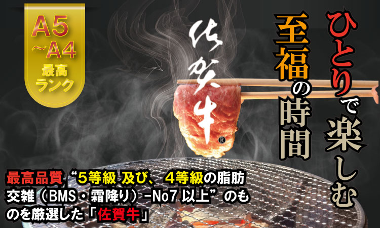 【定期便】 (連続12回) 佐賀牛 やまとフーズ 単身・おひとり様用