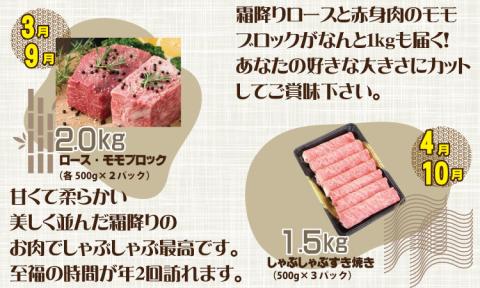 【定期便】 (12ヶ月連続お届け)佐賀牛ボリュームコース