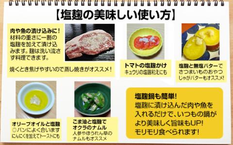 旨味を引き出す塩麹3本・醤油麹2本セット  発酵食品 万能調味料　そよかぜ