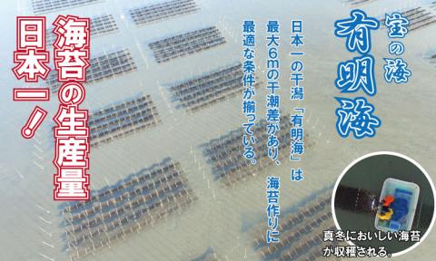 氷結 有明海産「おさしみ生海苔」（20g×8袋）乃市商店  のり 海苔 おさしみ生海苔 希少 有明海 佐賀 漁師めし 生海苔パスタ お味噌汁 卵かけご飯
