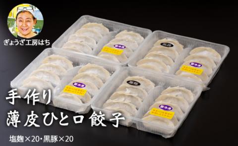 手作り薄皮ひと口餃子セット(各20個 X 2）（塩麹、黒豚）ギョウザ 送料無料 冷凍 便利 簡単調理  佐賀