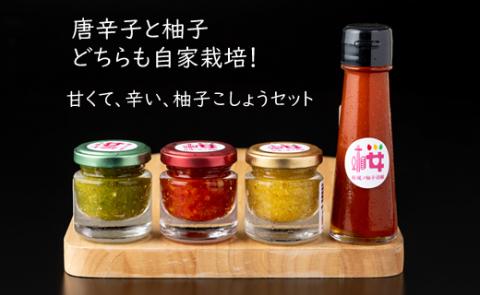 自家製栽培の地元人気の柚子こしょうセット（4種類） オリジナル 調味料 地元で人気 柚子胡椒  ゆず 柚子 こしょう 胡椒 佐賀 送料無料