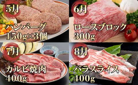 【定期便】 佐賀牛バラエティ12回（毎月）セット (お肉の定期便)