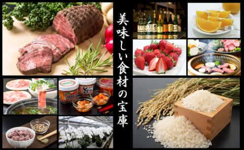 コンシェルジュプラン100（プレミアム 高額 相談）