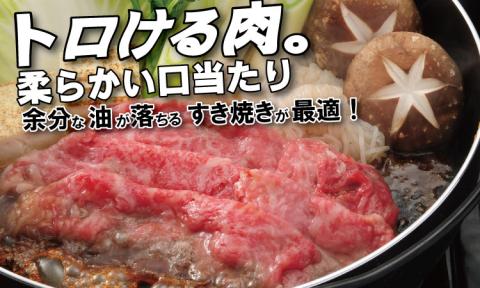佐賀牛 A5 ランク保証！ 焼肉 しゃぶしゃぶすき焼き 厳選部位 合計800g（400g×各１P） ブランド牛 黒毛和牛 九州 佐賀 送料無料  A5だけブランド牛 すきやき しゃぶしゃぶ スライス 薄切り 人気 ランキング 高評価 牛肉