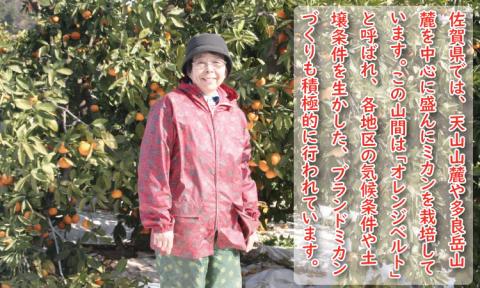 【先行予約】大好評！ご家庭用 大津みかん（10kg）コタツで甘いみかん！柑橘 温州　蜜柑 みかん ミカン　送料無料