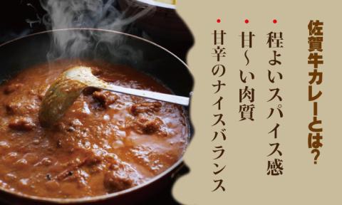 佐賀牛カレー（５箱セット） 煮込み牛肉 佐賀県産 食材にこだわった A5～A4 ブランド牛 ブロック人気 ランキング  高評価 牛肉 佐賀 送料無料