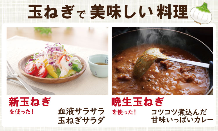 タマネギ（新玉ねぎ）なかはら農園 （5kg）サイズ2L～Mサイズ （たまねぎ、玉葱）野菜 根菜 オニオン 九州 佐賀 サラダ マリネ 人気 ランキング 送料無料