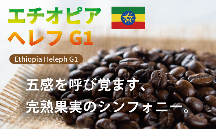 自家焙煎 コーヒー 豆 2種セット コロンビア×80g、エチオピア×80g （粉）珈琲 セット 贈答 プレゼント アースフルコーヒー