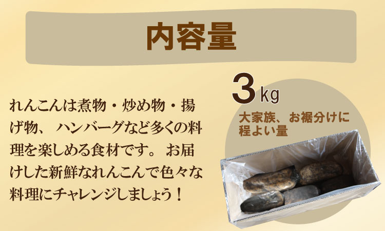 大人気！佐賀県産泥付きれんこん（3kg） もりながファーム  送料無料 農家直送 九州 佐賀 続々高評価 蓮根 野菜 根菜  サラダ マリネ