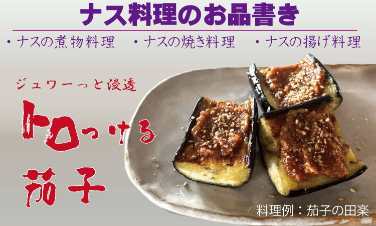 【先行予約】小城市産 筑陽ナス （3kg） 朝採れ 新鮮 ハウス栽培 茄子 煮物 揚げ物 焼き なす 農家直送 新鮮 野菜