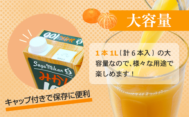 佐賀県産みかん使用 みかん100（ 紙パック 1L×6本）温州みかん 天然 果汁100% ビタミンC 酸味 甘み みかん ジュース 佐賀県 小城市