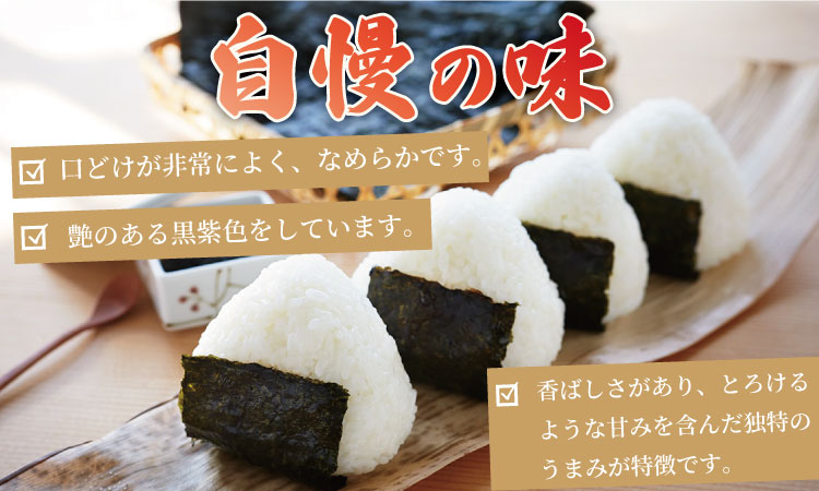 佐賀丸 詰め合わせ 合計3袋（焼1袋・塩１袋・味付１袋） 佐賀 有明産 海苔 のり 味のり 焼のり 有明海産 焼き海苔 味付け海苔 味のり 高級 有明海 詰め合わせ 食品 人気 ランキング 高評価 佐賀のり