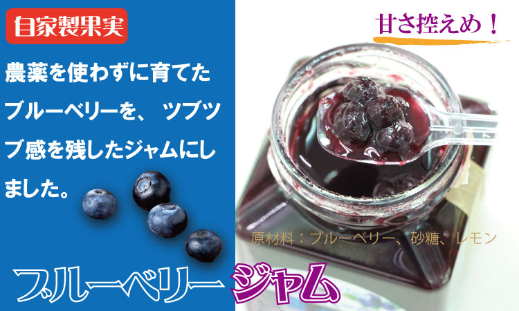 まるごと濃縮！いちじく ＆ ブルーベリー ジャム セット （190g×各2個） ジョブクリエイト フルーツ 果実 自家製 天然素材 健康
