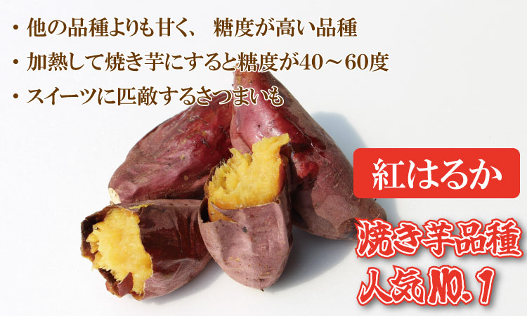 冷凍 焼き芋 紅はるか（1,100g）五時の芋 やきいも 甘い スイーツ ホクホク イモ 冷やしても美味しい 熟成
