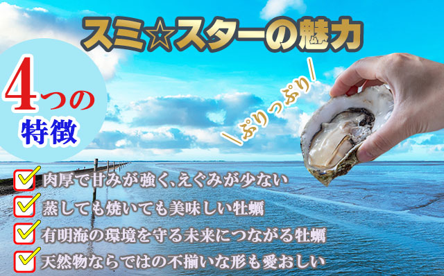 【2月配送】【先行予約】※指定日必須※ 天然 有明海産「冷蔵スミノエ殻つき牡蠣」スミ☆スター2Kg はしま海苔