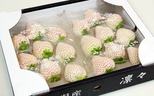 【先行予約令和8年1月配送開始】 天使のいちご240g X 2パック 凛々 苺　白い苺　白いちご エンジェルエイト　朝摘み　フレッシュ　農家直送品 果物 くだもの フルーツ 人気 ランキング  高評価 苺 いちご イチゴ