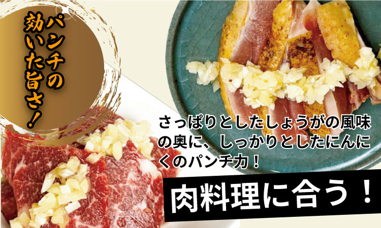万能 薬味 調味料 「刻んだしょうがとにんにく少々 80g 」（10袋）佐賀の キムチ屋 乃市商店 肉料理 納豆 そうめん の薬味 パスタ ステーキ 焼肉のタレ 馬刺し 地鶏のたたき 冷奴 ほかほかご飯 鰹のたたき 焼き魚