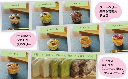 小麦粉不使用 グルテンフリー 米粉のスイーツ10点セット サンテカフェまる（NEW01） 送料無料 米粉 ヴィーガン 小麦粉不使用 卵不使用 乳製品不使用 動物性油不使用 白砂糖不使用 スイーツ お菓子 おやつ ギフト 贈り物 佐賀 佐賀県