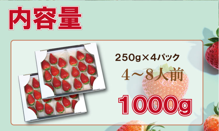 【先行予約令和8年1月配送開始】佐賀ブランド苺「いちごさん」合計1,000g（250g×4セット）凛々苺 いちご イチゴ  農家直送品 果物 くだもの フルーツ 人気 ランキング 高評価 送料無料