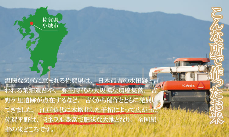 佐賀ブランド米「さがびより」５ｋｇ（5ｋｇ×1）潮風F