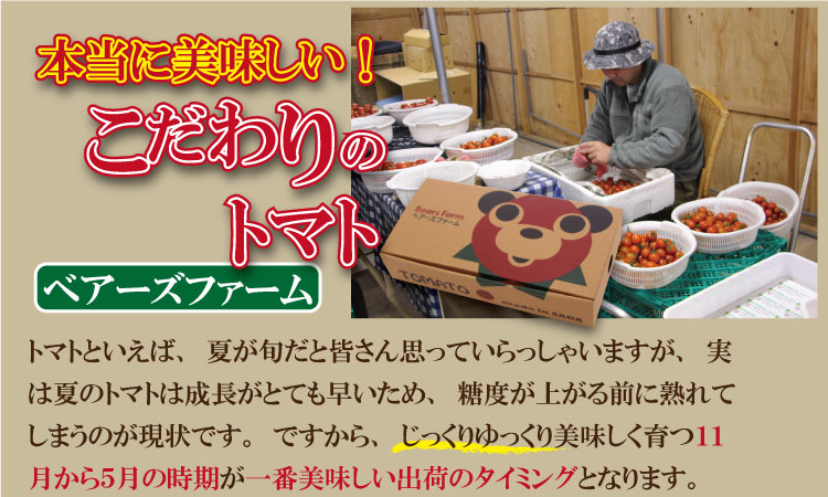 【先行予約】【令和8年1月中旬頃より出荷】熊太郎とまと （2kg）甘さ 濃縮 トマト 塩 スパルタ 栽培 ビタミン豊富 採れたて　ベアーズファーム 佐賀県産 tomato トマト
