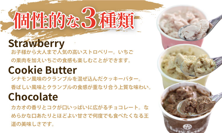 Earth Sweets カップアイス 3種24個セット 【竹下製菓 】 アイス クリーム スィーツ チョコレートアイスクリーム