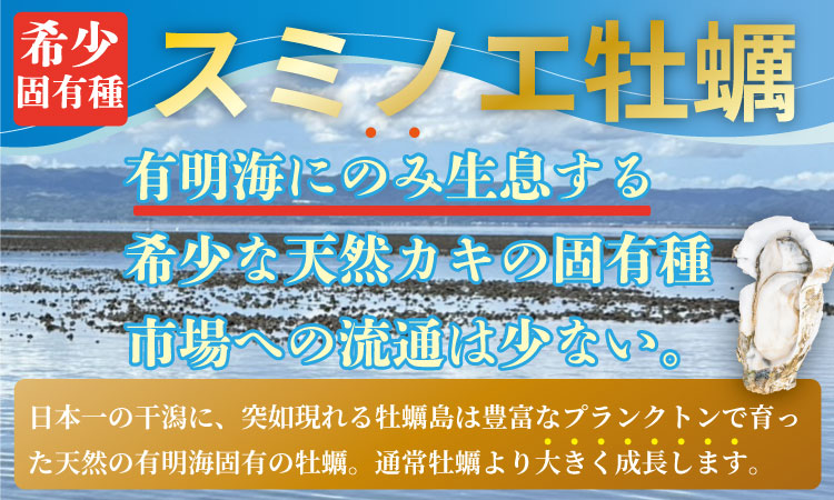 【先行予約】【2月配送】※指定日必須※ 天然 有明海産 冷蔵スミノエ牡蠣 殻付き スミ☆スター5キロ ハクエイ水産