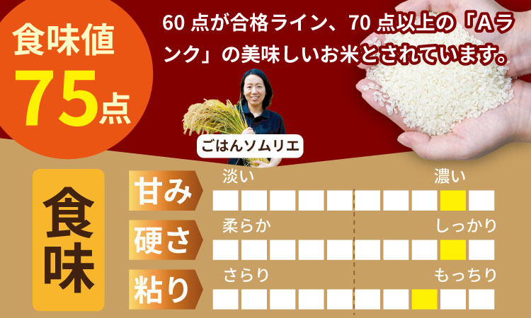 佐賀ブランド米「さがびより」10ｋｇ　肥前糧食  送料無料  一等米 精米 白米 ブランド米 お米 白飯 人気 ランキング 高評価