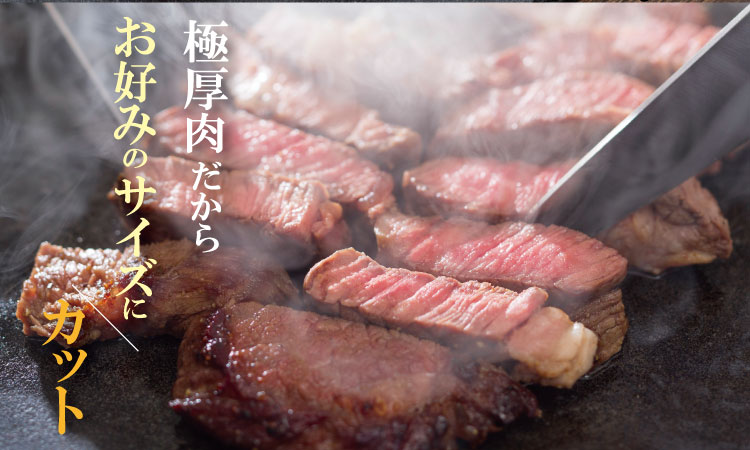 佐賀産和牛ロースブロック肉（500g）潮風F 厚切りブロック肉 お好みのサイズにカットする