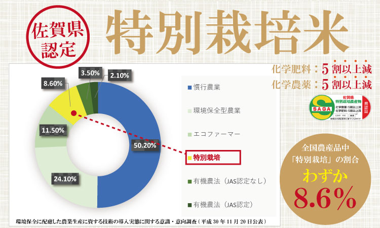 【新米】R７年度産（令和７年）特別栽培米 佐賀ブランド 米「 さがびより 」10kg（5kg×2袋）田中農場 精米 白米 10キロ 単位 もちもち 食感 冷めても 美味しい お一人様 ご家族用 ランキング 特A 評価