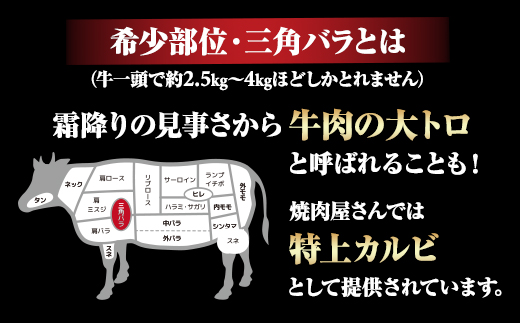 三角バラ肉入り！佐賀牛焼肉セット（カルビ・ロース×900g）つるや食品 佐賀牛 食べ比べ 特上カルビ500g ロース400g 焼き肉 国産 牛肉 バーベキューセット BBQ お肉 ブランド牛 九州産 送料無料　A5～A4 人気 ランキング 佐賀県産 黒毛和牛