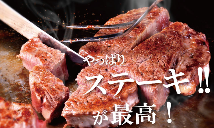 佐賀産和牛ヒレステーキ120g×5 潮風F 脂質の少ない ヒレ ステーキ