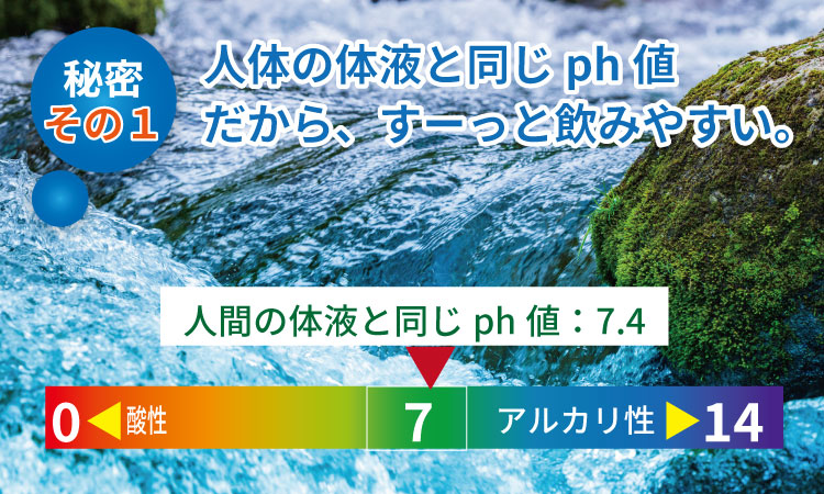 【定期便】 (年6回/隔月お届け) 蛍の郷の天然水（炭酸水500mlｘ24本) x 3ケース 偶数月