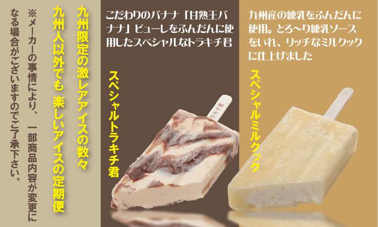 【定期便】 (12ヶ月連続お届け)竹下製菓人気アイス10本