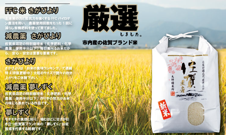 【定期便】 (12ヶ月連続お届け) 大坪精米所 佐賀ブランド米定期便（5kg×12回） 選べる精米率（玄米・3分.5分.7分づき・白米）