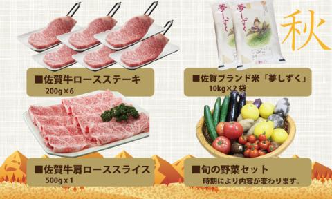 【定期便】小城の特産品・逸品定期便  フォーシーズン (年4回お届け) 佐賀牛 お米 アイス 炭酸水 野菜