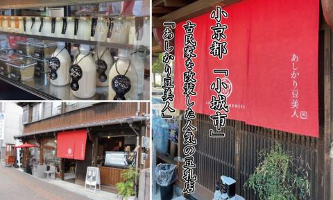 豆乳きな粉プリン！豆乳屋が作ったおいしいプリン！ 豆乳クリーム きなこがアクセントのおいしいプリン！ 牛乳不使用 とろける 冷凍品 送料無料