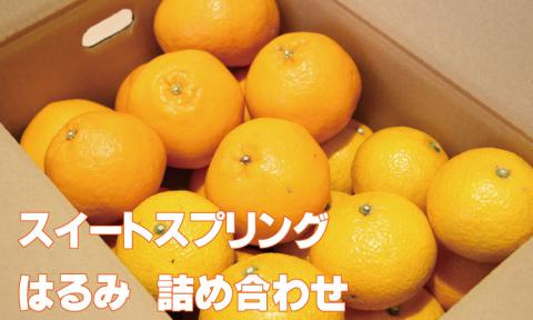 【先行予約】ご家庭用スイートスプリングとはるみセット（５kg）柑橘詰め合わせ フルーツ セット  送料無料 季節の 柑橘 みかん 甘い 人気 ランキング 高評価 ほたるの郷