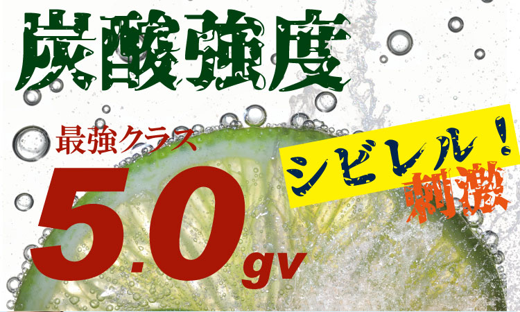 大人気！強炭酸水レモン（500ml×24本）  水 ミネラルウォーター 友桝飲料 炭酸飲料 ペットボトル フレーバー ハイボール ソーダ 割り材 送料無料 人気 ランキング 高評価