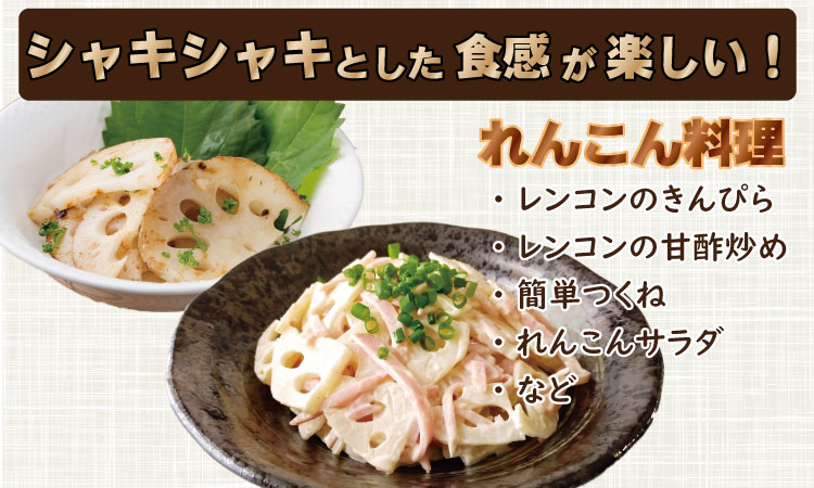 大人気！佐賀県産泥付きれんこん（3kg） もりながファーム  送料無料 農家直送 九州 佐賀 続々高評価 蓮根 野菜 根菜  サラダ マリネ