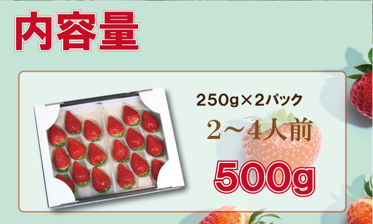 【先行予約令和8年1月配送開始】佐賀ブランド苺「いちごさん」合計500g（250g×2セット）凛々 苺 いちご イチゴ  農家 直送品 果物 くだもの フルーツ 人気 ランキング 高評価
